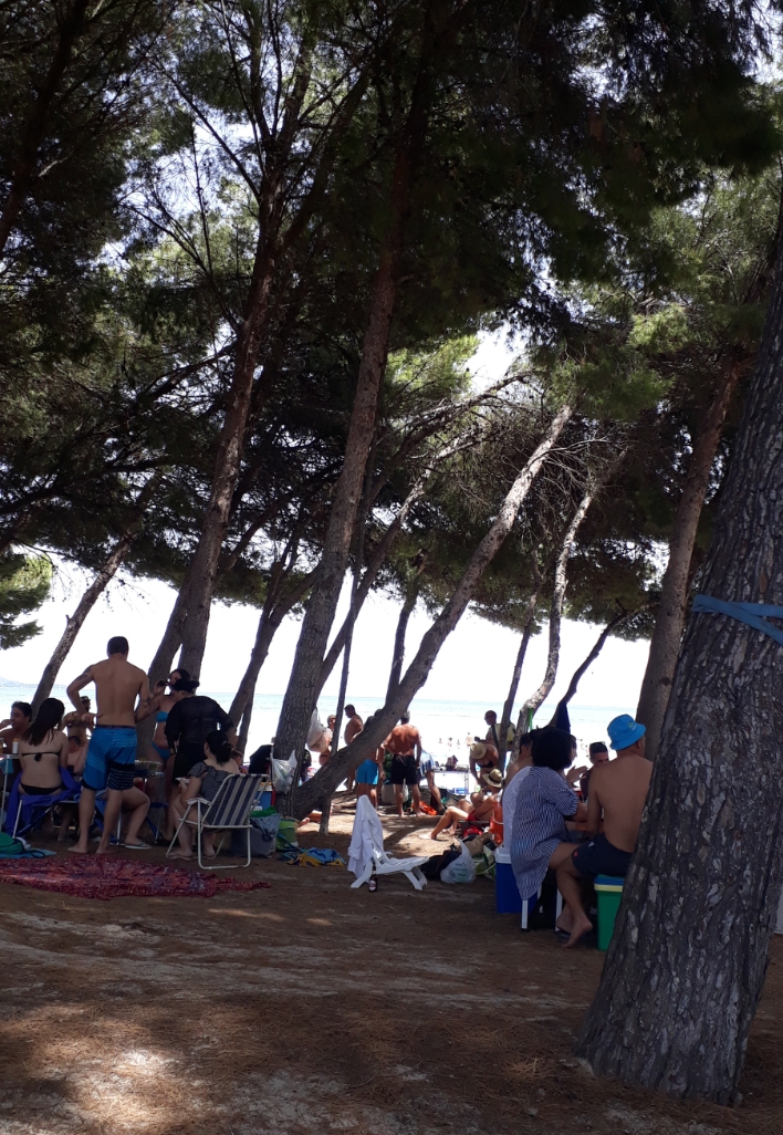 20180715_141513.jpg