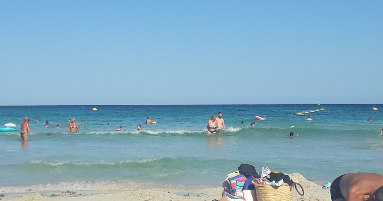20190729_180756.jpg
