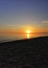atardecer ForoCoin_copy_1380x1920.jpg